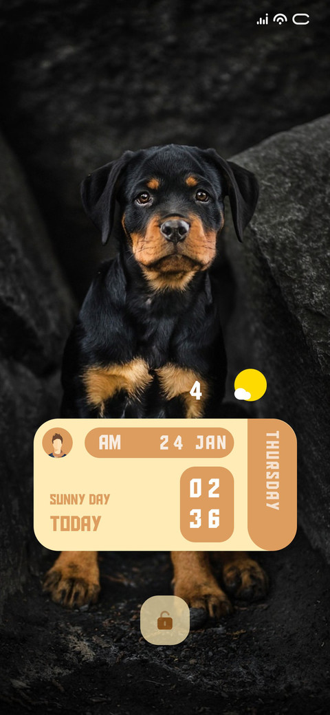 Golddy preview
