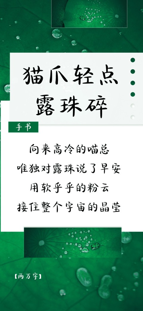 猫爪轻点露珠碎 preview