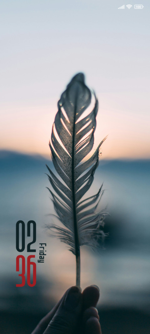 Feather preview