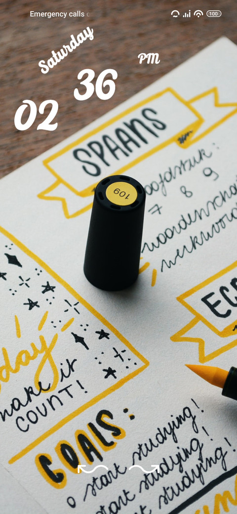 journal preview