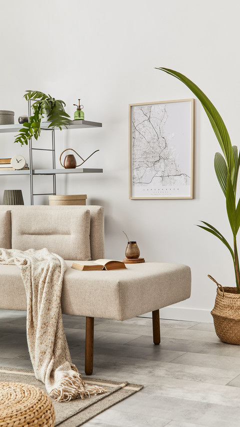 Living Room  with Stylish Sofa and Design Furniture preview