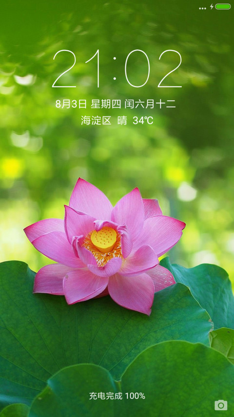 清水荷花 preview