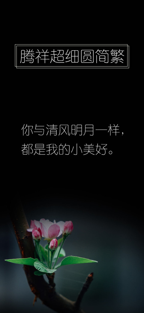 腾祥超细圆简繁 preview