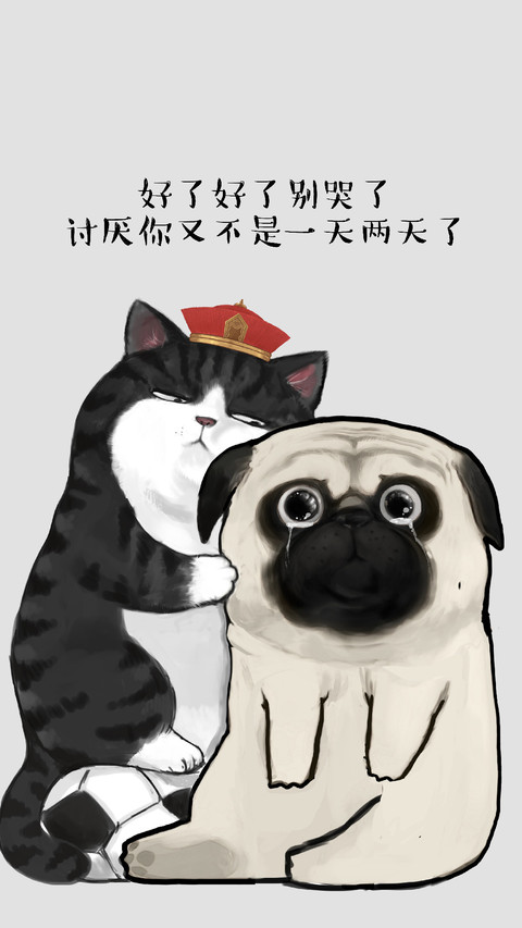 友谊的小船说翻就翻 preview