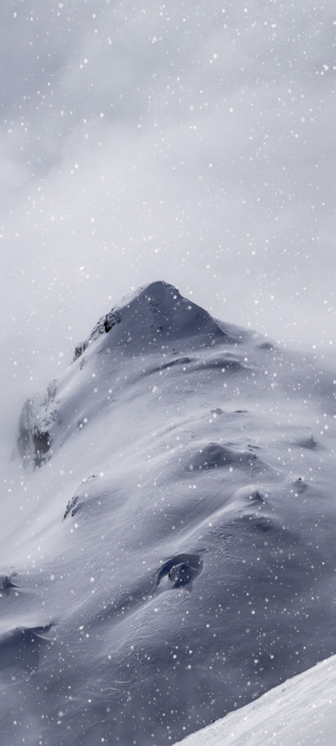 景深大雪 动态 preview