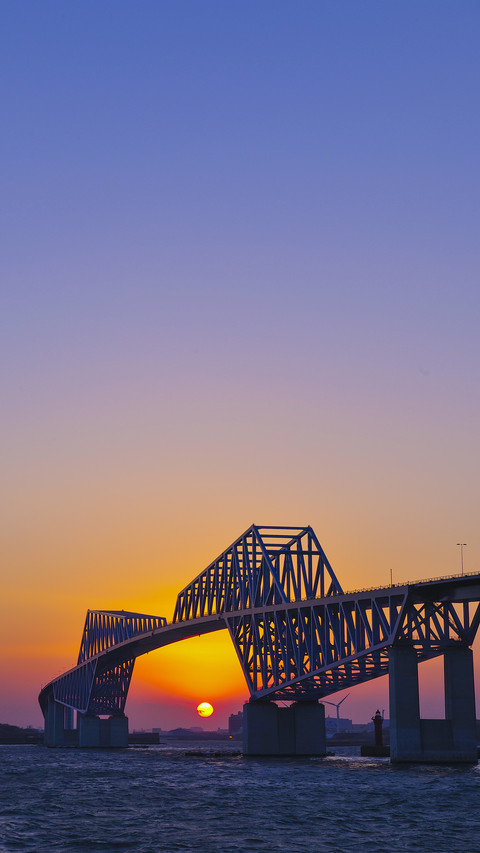 International-Tokyo Gate Bridge preview