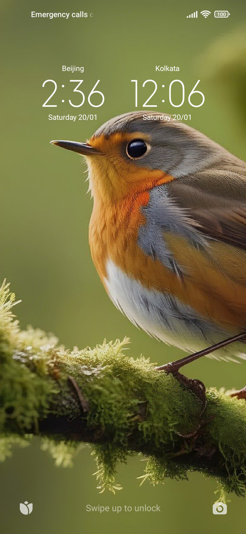 Bird preview