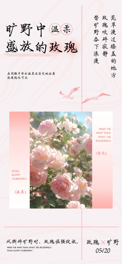 旷野中盛放的玫瑰 preview