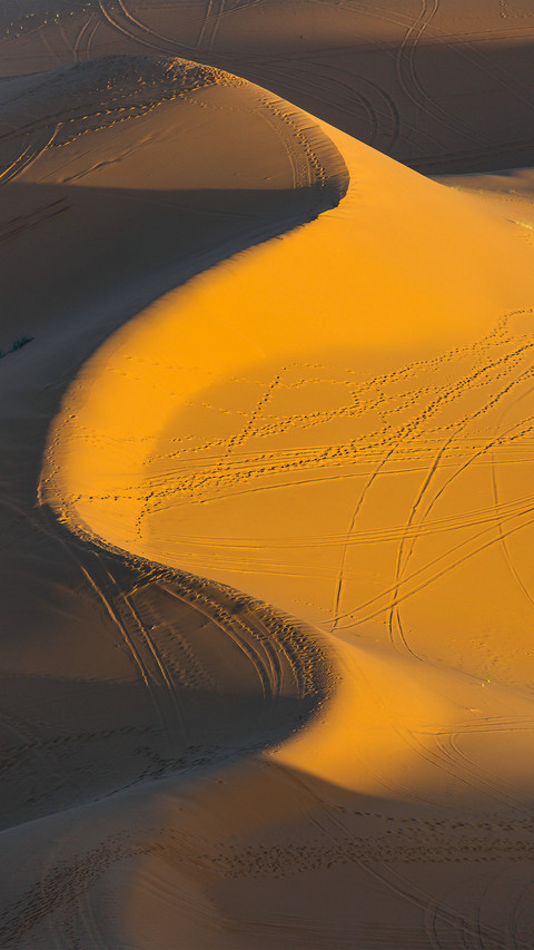 Pure desert preview