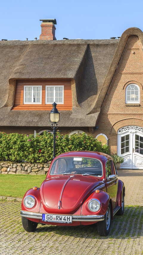 Ancient Car Vehicle Beetle preview