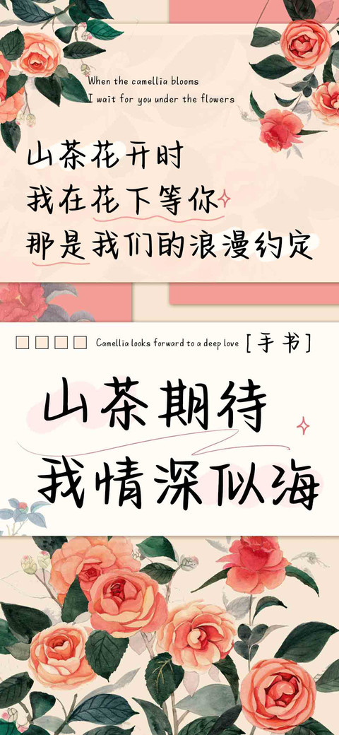山茶期待我情深似海 preview