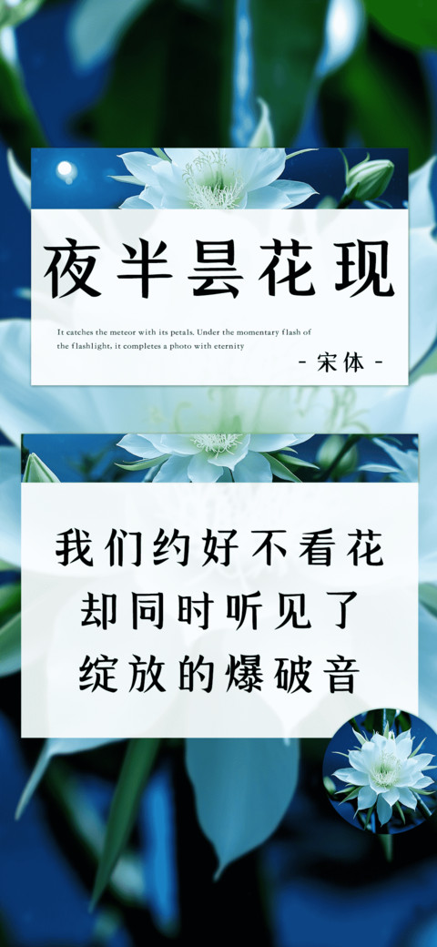 夜半昙花现 preview