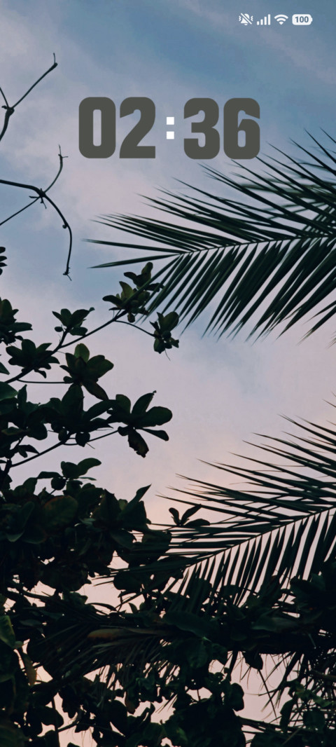 Soft Tones preview