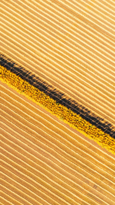Autumn scenery of farmland preview