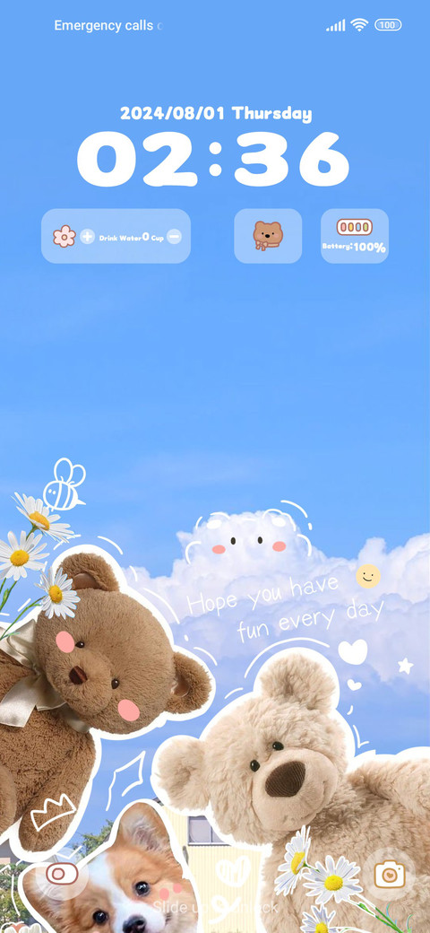 Happy Bear preview