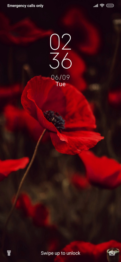 Poppy_3MDS preview