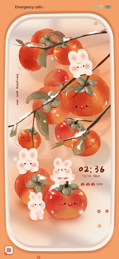 Sweet persimmon preview