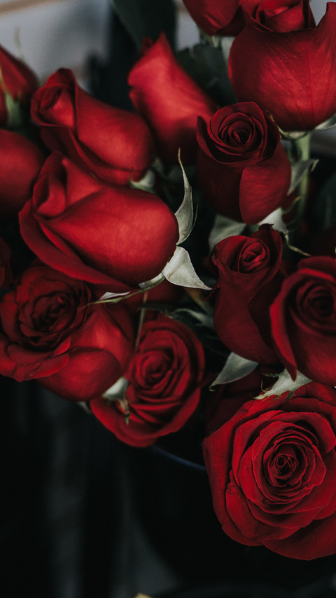 Roses and Lilacs (6) preview