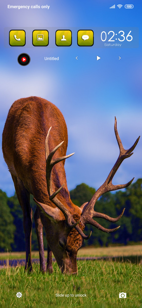 Deer fi preview