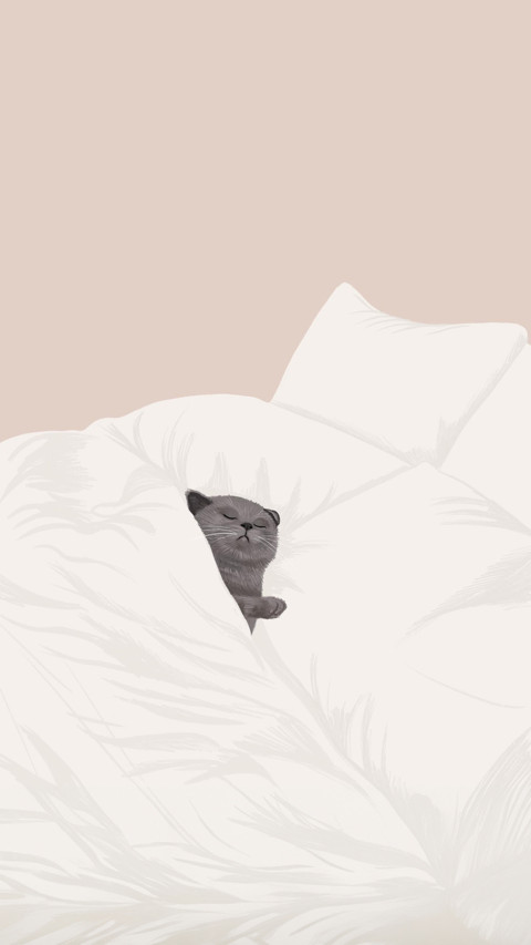 cat preview
