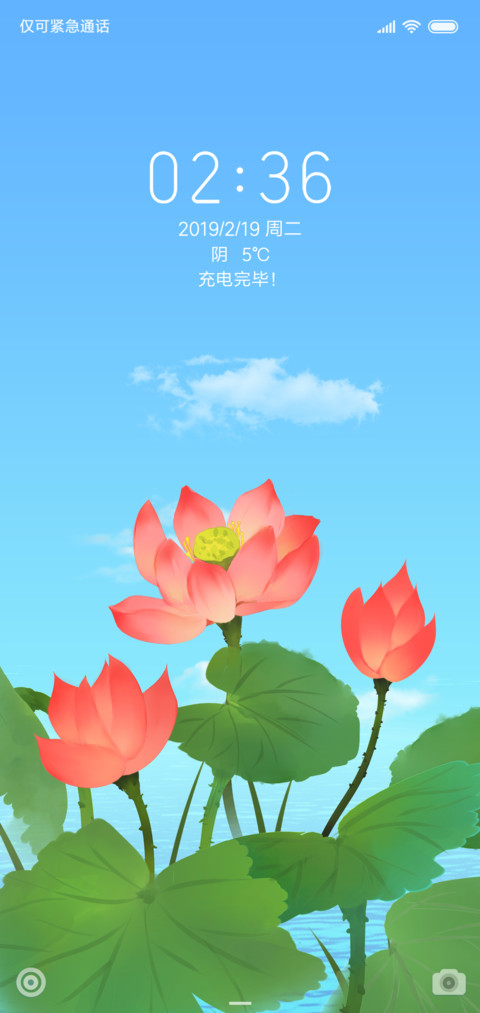 荷花 preview