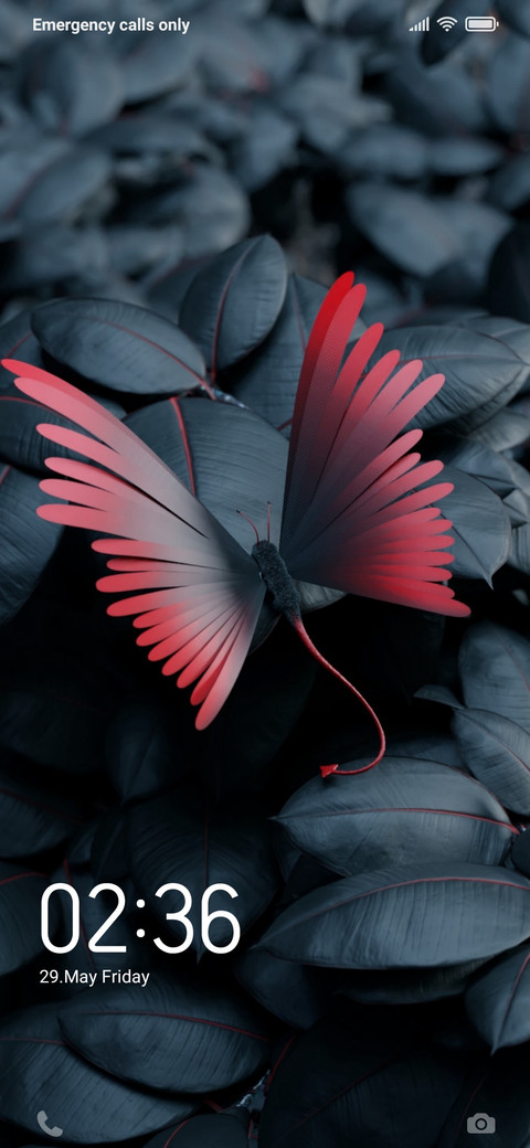 RED BUTTERFLY_DWM19 preview