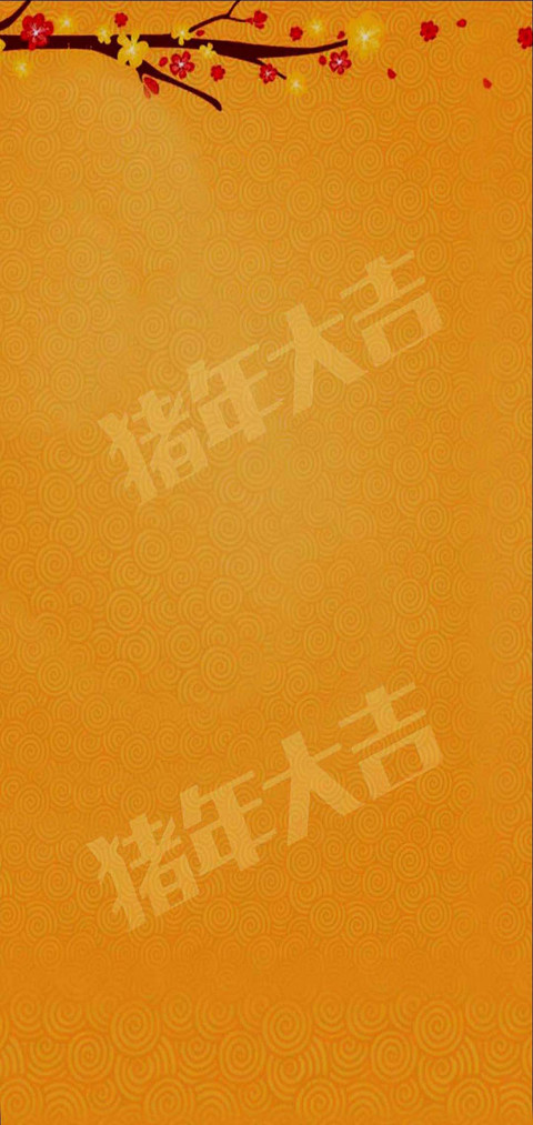 新年快乐2019 preview