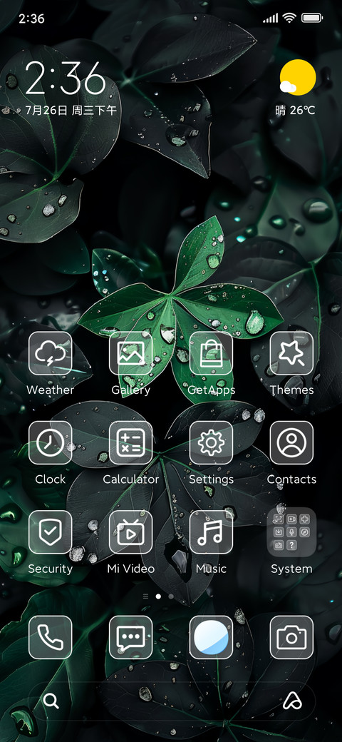 A green leaf preview