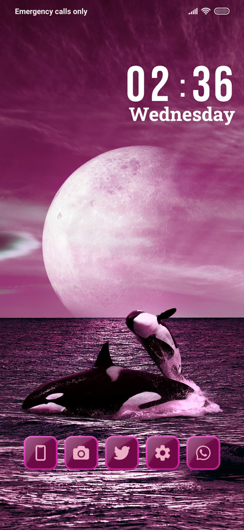 Bowhead Whale preview