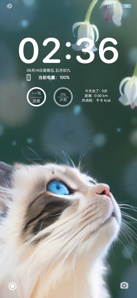猫咪 preview