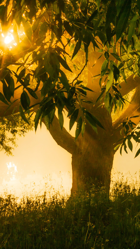 The hazy sunrise preview