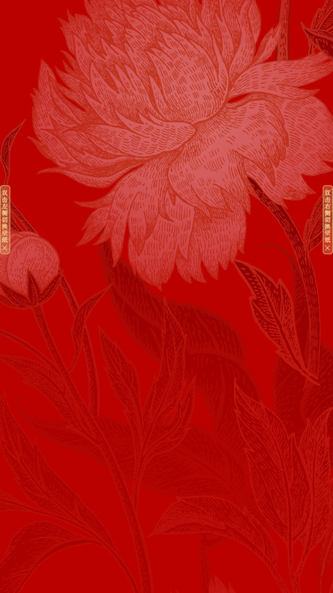 花样新年 preview