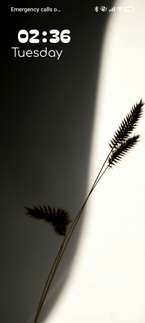 Mono Vase preview