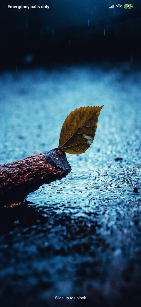 Rainy fi preview