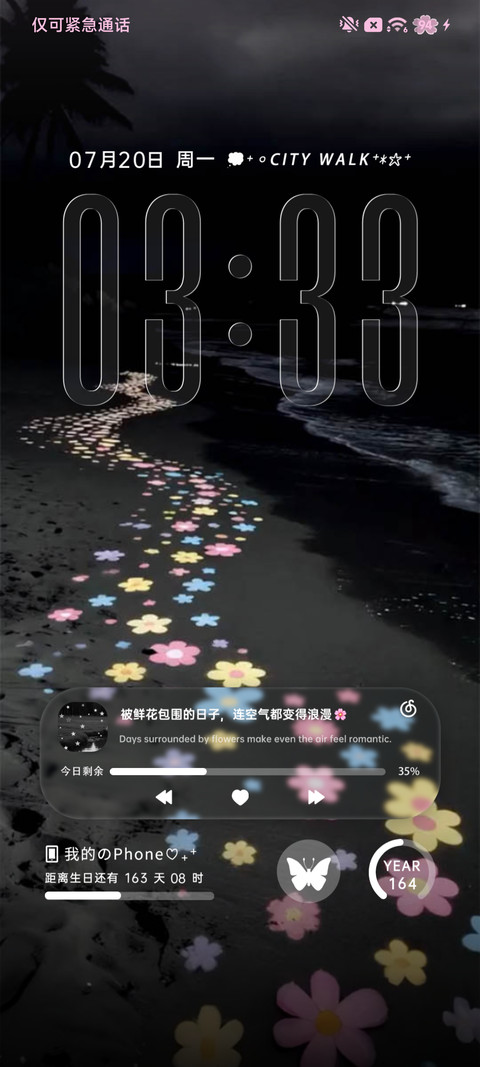 INS海边浪漫花路 preview