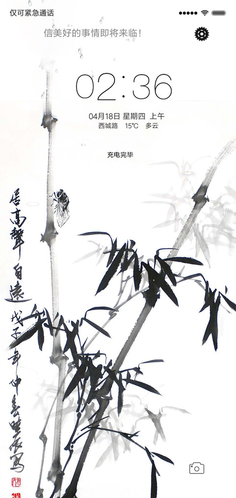 枫叶竹 preview