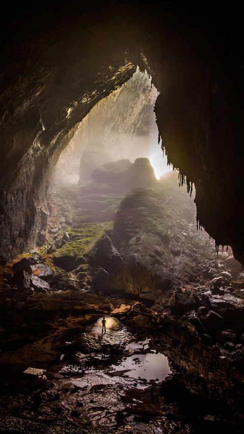 Endogenous river rainforest preview