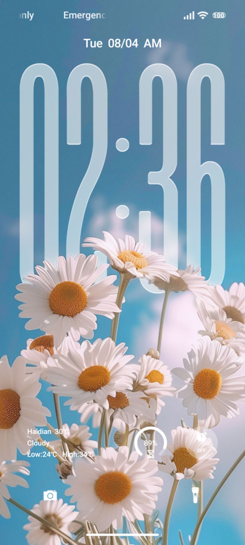 Flower preview