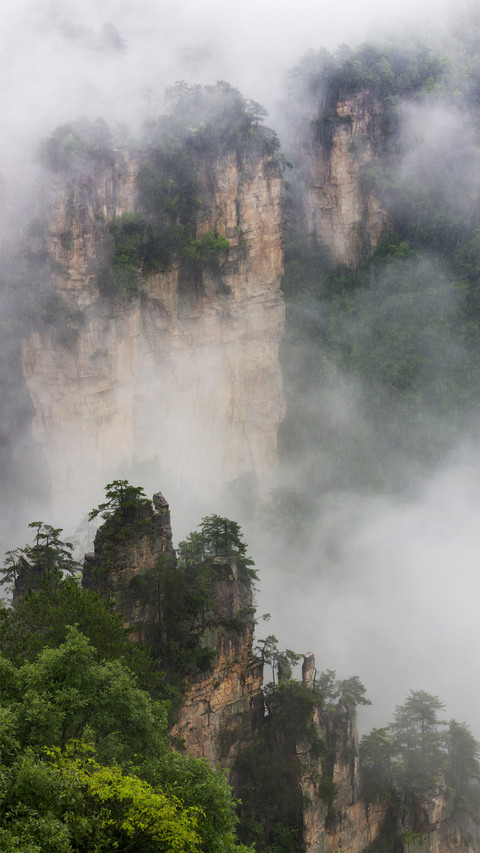Sandstone pillars in mist zhangjiajie national forest preview