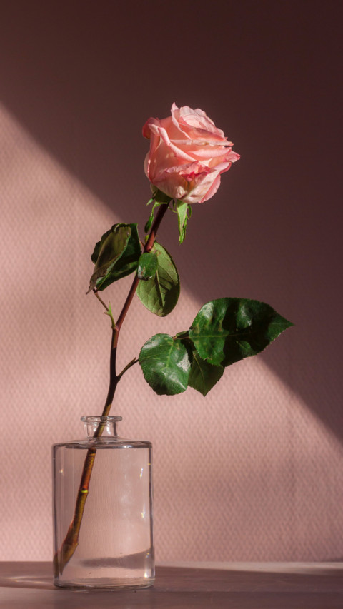 Romantic (13) preview