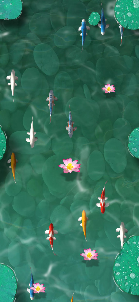 锦鲤荷塘 preview
