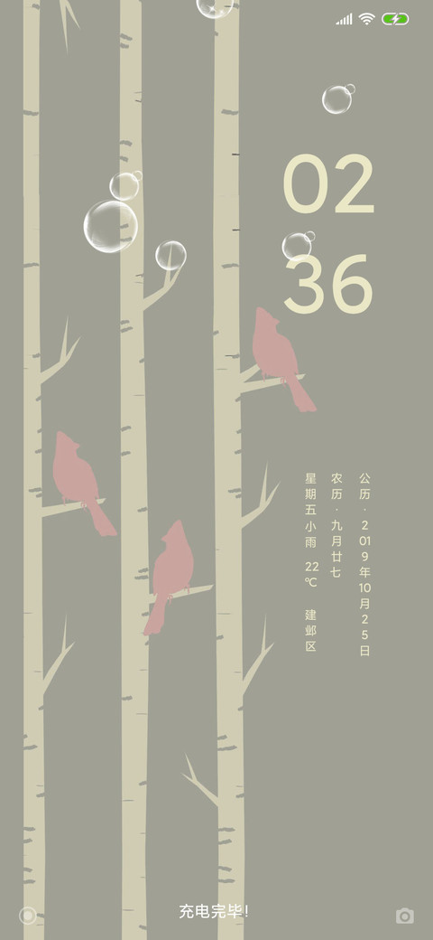 白桦林 preview