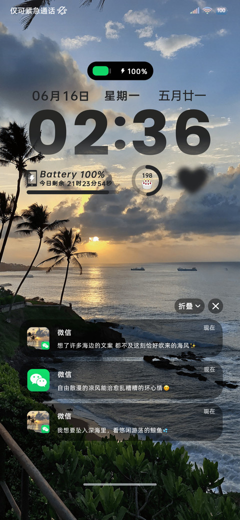 INS椰林海风 preview