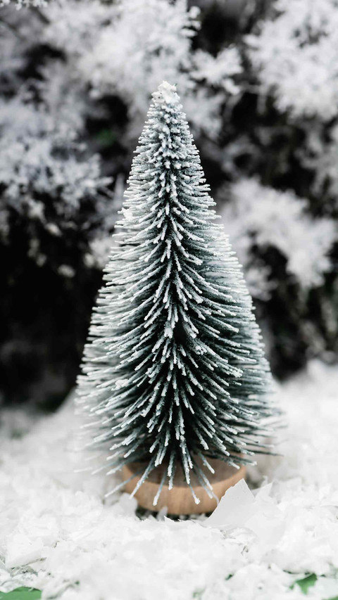 Winter Snow Country preview