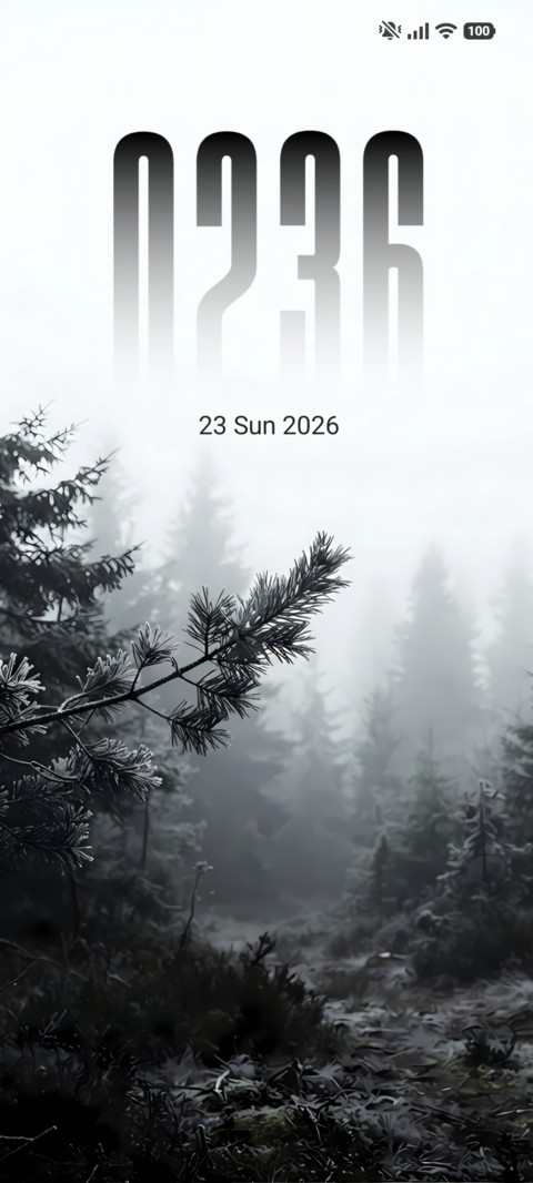 Foggy Pines preview