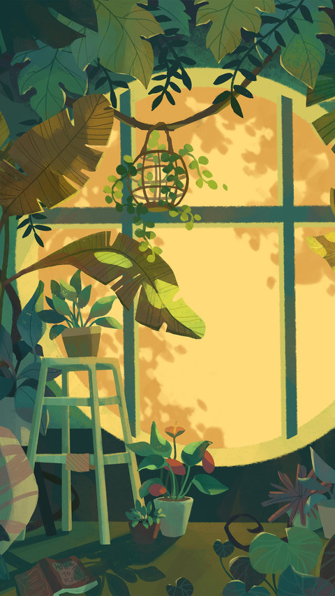 A room full of plants preview