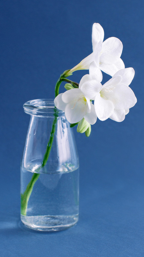 Natural beauty-PAIXIN preview