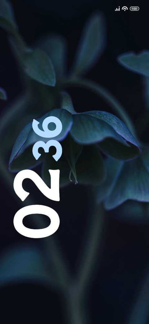 hellebore preview