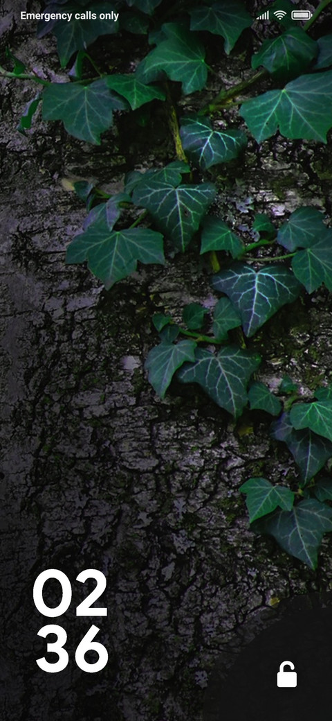 TREE_DWM2 preview