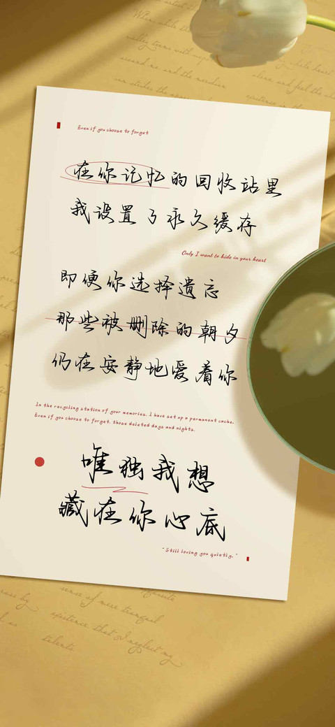 唯独我想藏在你心底 preview